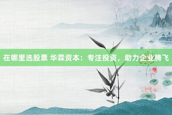 在哪里选股票 华霖资本：专注投资，助力企业腾飞