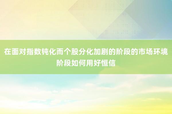 在面对指数钝化而个股分化加剧的阶段的市场环境阶段如何用好恒信