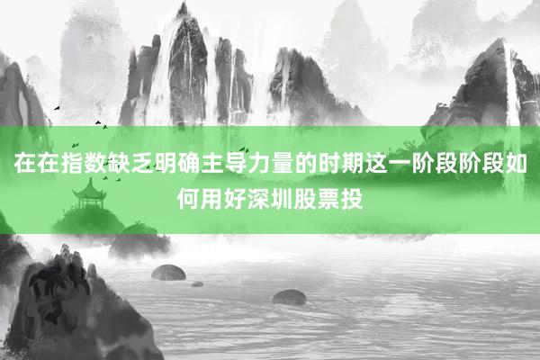 在在指数缺乏明确主导力量的时期这一阶段阶段如何用好深圳股票投