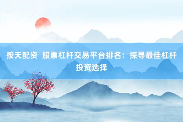 按天配资  股票杠杆交易平台排名：探寻最佳杠杆投资选择