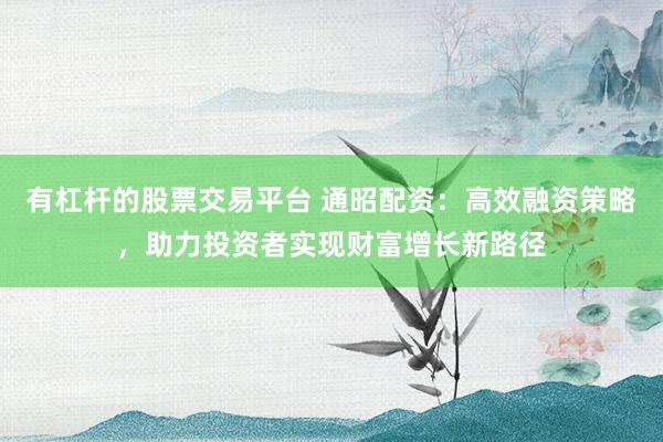 有杠杆的股票交易平台 通昭配资：高效融资策略，助力投资者实现财富增长新路径