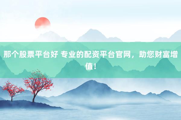 那个股票平台好 专业的配资平台官网,助您财富增值!